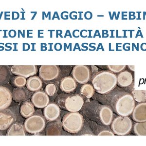 immagine anteprima per la notizia: #prepair: biomassa legnosa: gestione e tracciabilità