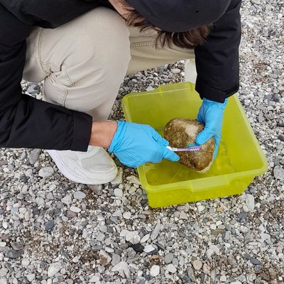 immagine contenuta nella pagina: a lezione sul fiume con arpa fvg