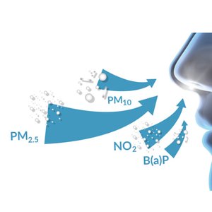 immagine anteprima per la notizia: polveri e biomasse legnose