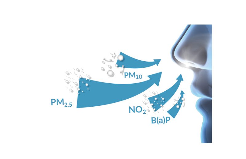 polveri e biomasse legnose