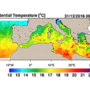 Seminario sulla modellistica oceanografica previsionale per il Mediterraneo