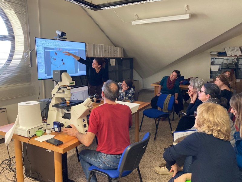 immagine anteprima per la notizia: arpa fvg partecipa ad un corso di aggiornamento specialistico ...