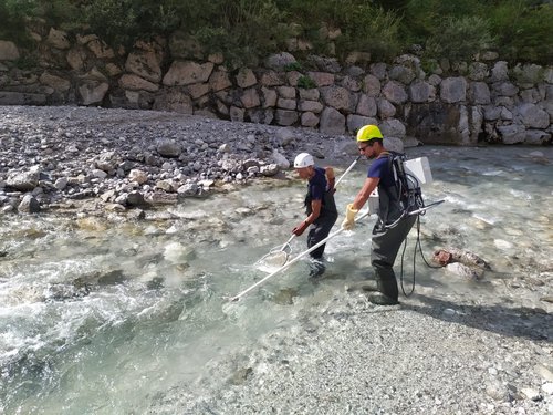 20220907_campionamento fauna ittica Dogna 2