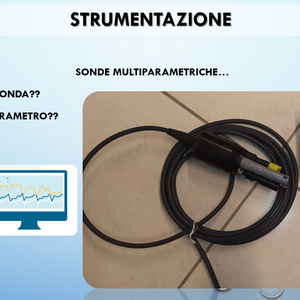 immagine anteprima per la notizia: cascade e le scuole