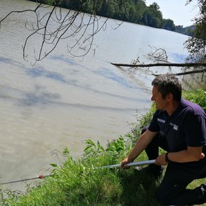 immagine anteprima per la notizia: colorazione anomala delle acque del fiume isonzo: probabile co...