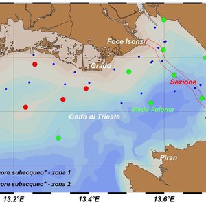 immagine anteprima per la notizia: bollettino sullo " stato oceanografico ed ecologico del golfo ...