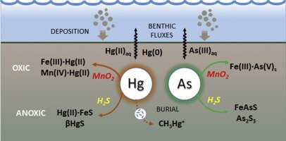 Immagine contenuta nella pagina: Arsenico e mercurio nei sedimenti: pubblicato un articolo sulla rivista “Current Opinion in Environmental Science & Health”