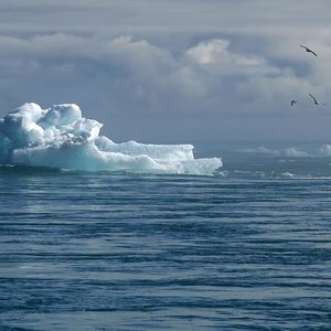 immagine anteprima per la notizia: #adriaclim: dai modelli climatici alle mappe tematiche per il ...