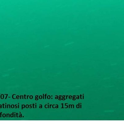 immagine contenuta nella pagina: bollettino sullo " stato oceanografico ed ecologico del golfo di...