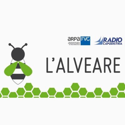 L'ALVEARE