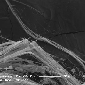 amosite: immagine raccolta al microscopio elettron...