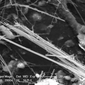AMOSITE: immagine raccolta al microscopio elettronico a scansione (SEM)