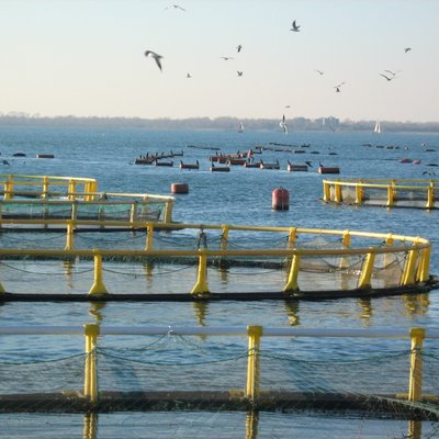 vasche flottanti per la pescicoltura in mezzo ad u...