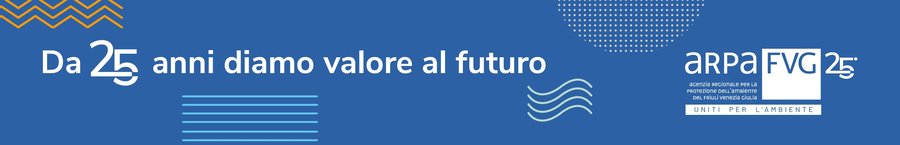 immagine contenuta nella pagina: nozze d’argento per arpa fvg