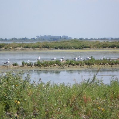 laguna di grado - © arpa fvg