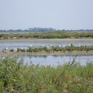 immagine anteprima per l'approfondimento: il territorio: acque marino costiere