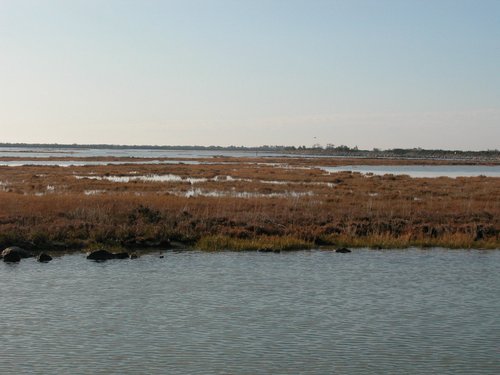 Barene in laguna di Grado nei pressi della Valle Noghera - © Arpa FVG