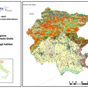 immagine anteprima per la notizia: carta della natura
