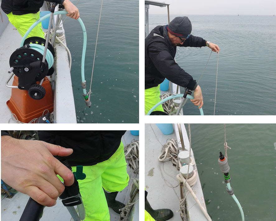 diverse fasi del campionamento integrato di fitopl...