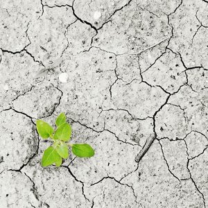 immagine anteprima per la notizia: il friuli venezia giulia nel cambiamento climatico: pubblicato...