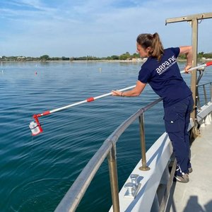 immagine anteprima per la notizia: balneazione: conclusione delle verifiche suppletive