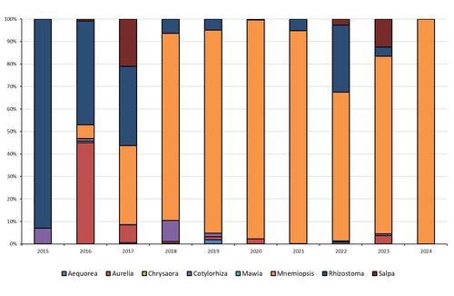 Censimento degli organismi gelatinosi dal 2015 al 2024
