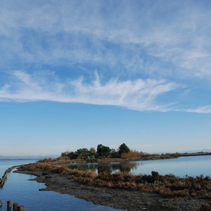 immagine anteprima per la notizia: alla scoperta della laguna di grado: workshop sulle attività d...