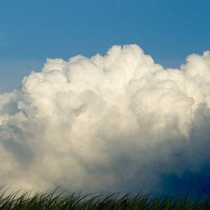 immagine anteprima per la notizia: workshop - meteo e clima tra scienza e social: strumenti di og...
