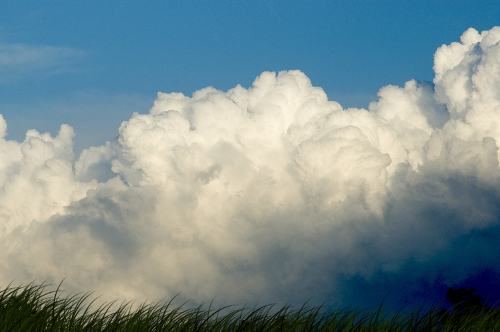 immagine anteprima per la notizia: workshop - meteo e clima tra scienza e social: strumenti di og...