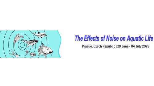 Effects of noise on acquatic life