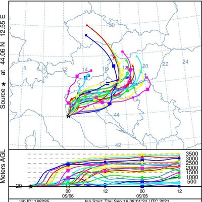 immagine contenuta nella pagina: si ripete anche quest’anno il fenomeno di trasporto a lunga dist...