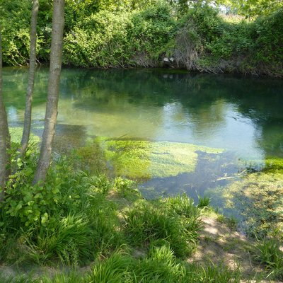 immagine contenuta nella pagina: acque trasparenti, equilibri invisibili