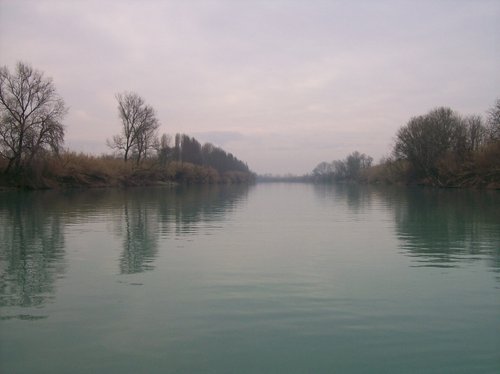 Fiume Tagliamento - © Arpa FVG