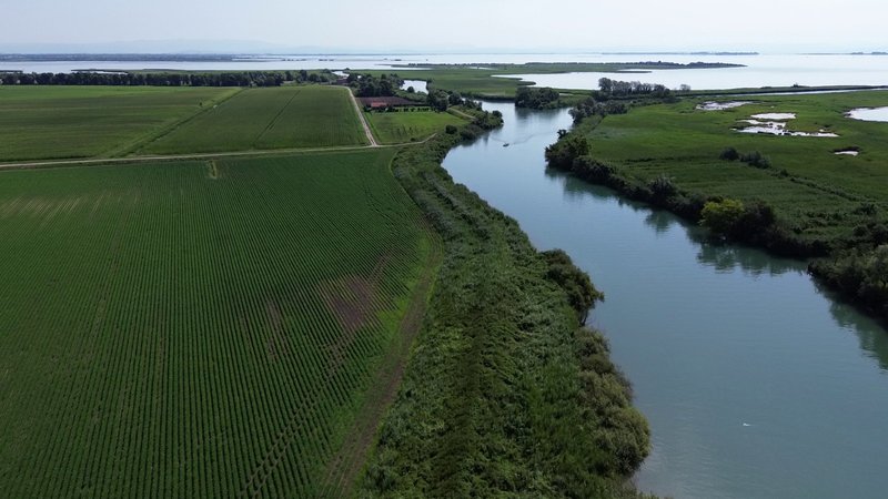 immagine anteprima per la notizia: giornata mondiale delle zone umide e 50° anniversario della ra...