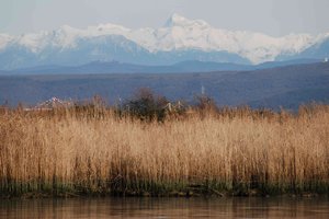 immagine anteprima della pagina: <p data-block-key="twu77">presentazione del nuovo trimestrale di...