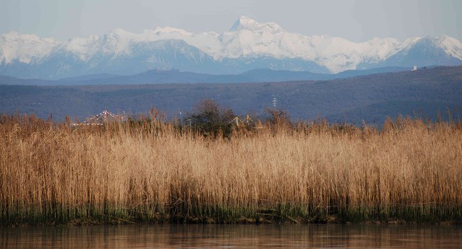 immagine principale articolo: presentazione del nuovo trimestrale di arpa fvg