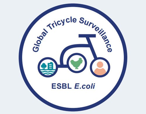 Global Tricyle Surveillance Logo