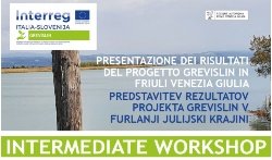 progetto grevislin