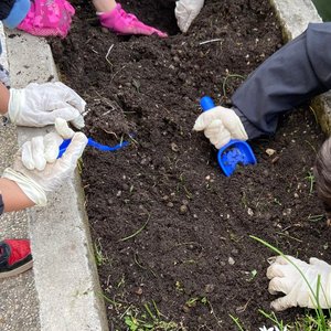 immagine anteprima per la notizia: dai servizi ecosistemi al giardino della scuola