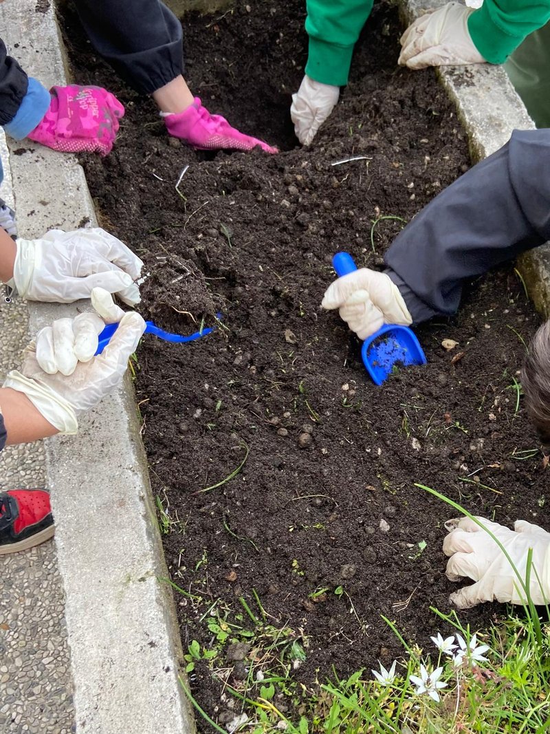 immagine anteprima per la notizia: dai servizi ecosistemi al giardino della scuola