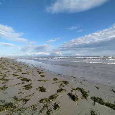 litorale di lignano (ud) con bassa marea