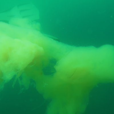 nuvola in colonna d'acqua. estate 2024 (foto arpa ...