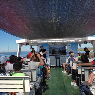 la navigazione nella laguna di grado