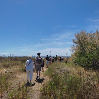 immagine contenuta nella pagina: alla scoperta della laguna di grado con arpa fvg