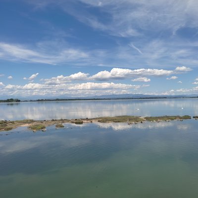 immagine contenuta nella pagina: alla scoperta della laguna di grado con arpa fvg