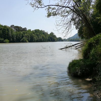 immagine contenuta nella pagina: colorazione anomala delle acque del fiume isonzo