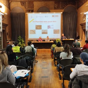immagine anteprima per la notizia: arpa fvg partecipa al corso gli "oligocheti delle acque dolci"...