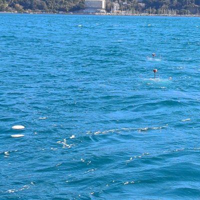immagine contenuta nella pagina: al via una nuova collaborazione tra arpa fvg e ogs per studiare ...