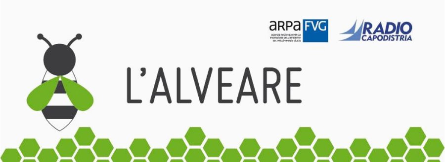 immagine contenuta nella pagina: l'alveare