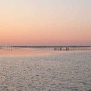 immagine anteprima per la pagina: il sin caffaro di torviscosa